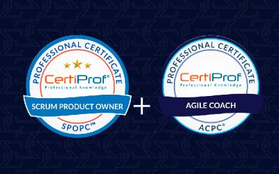 Scrum Product Owner + Agile Coach